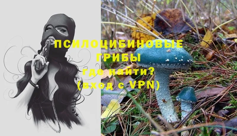 Псилоцибиновые грибы Psilocybe  Безенчук 